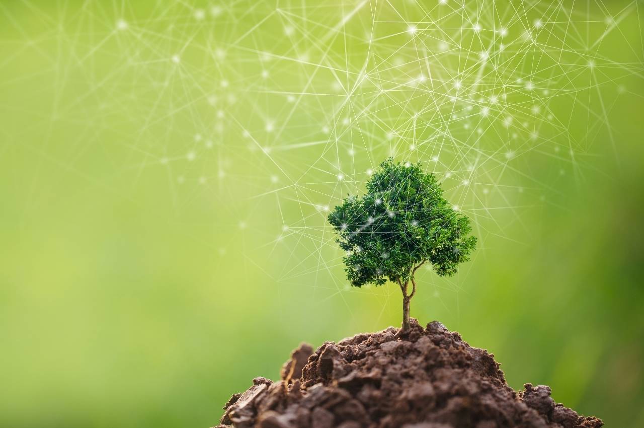 miraidot 無料掲載募集